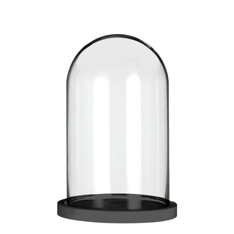 Glass stolp with black wooden base Ø14cm H: 21cm (1 pcs.)