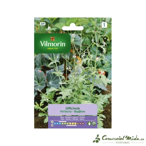 VILMORIN Semillas Verbena Officinalis