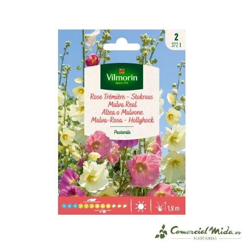 VILMORIN Semillas Malva Real Pastoral