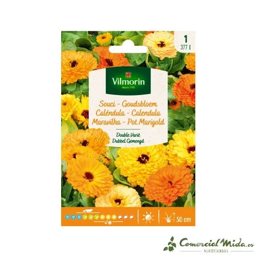 VILMORIN Semillas Caléndula Variada