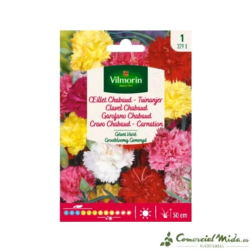 VILMORIN Semillas Clavel Chabaud Gigante Variado