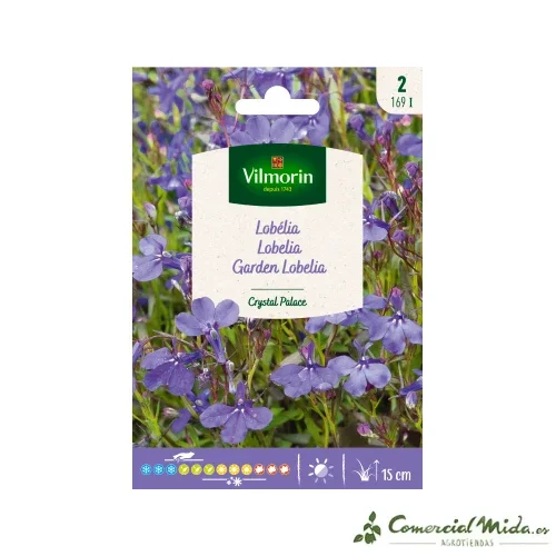 VILMORIN Lobelia Crystal Palace Samen