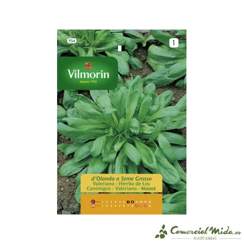 VILMORIN Semillas Valeriana - Hierba de los Canόnigos de Grano Gruesco