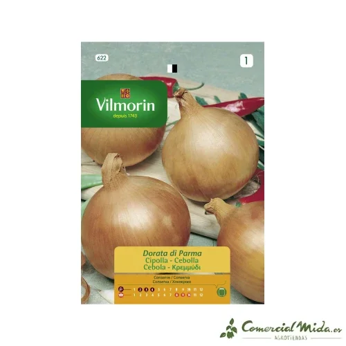 VILMORIN Semillas Cebolla Dorata di Parma