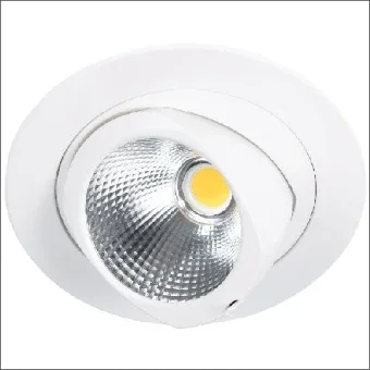 2.11.0978 2.11.0978 Downlight/Spot/Strahler