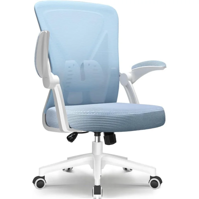 Ergonomischer Bürostuhl mit Lendenwirbelstütze,