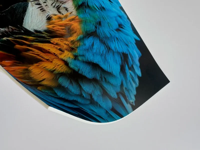 Vinylboden Messeboden individuell bedruckt 50 qm