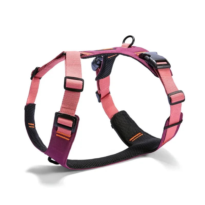 Cloud7 Hundegeschirr Y-2 AKTIV Cordura, Aubergine/Soft Rose Hundegeschirr