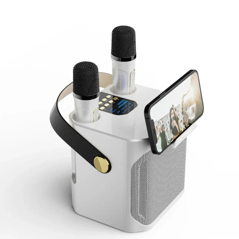 Brehn | Bluetooth-Lautsprecher Tragbare Drahtlose Karaoke-Maschine