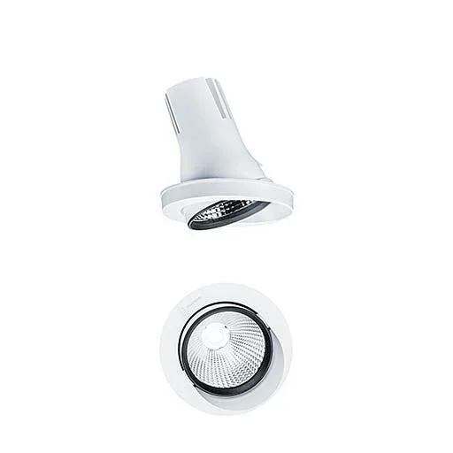 Zumtobel Group - Downlight/Strahler/Flutlicht LED - Leuchtenmodul CAR EVO M #60819032 Fisch